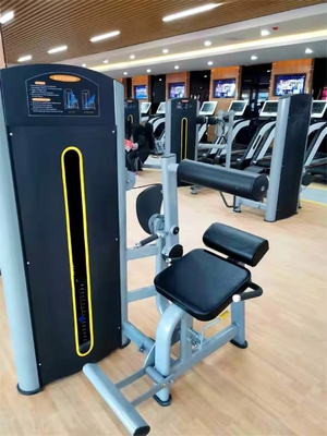 피트니스 운동 몸 조절 가능한 등 확장 기계 핀 로딩 복부 트레이너