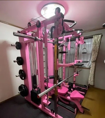 유니섹스 기능 트레이너 스미스 머신 핀 로딩 및 플레이트 로딩 홈 체육관 랙