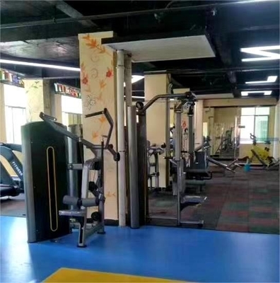 철강 건설 상업 체육관 장비 라트 풀다운 핀 로드 선택 기계