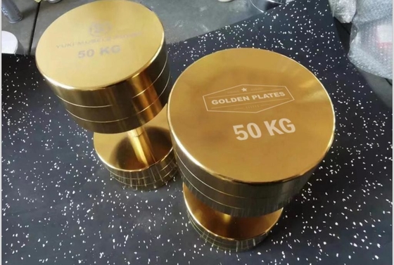체력 훈련용 크롬 덤벨의 힘을 경험하세요 2.5kg-100kg