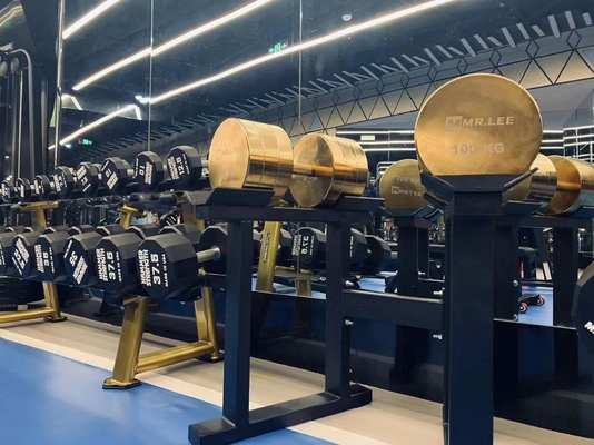 체력 훈련용 크롬 덤벨의 힘을 경험하세요 2.5kg-100kg