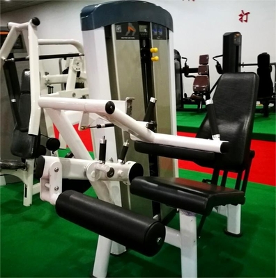 앉아있는 다리 쿨러 및 확장 기계 전문 운동을위한 중량 강철