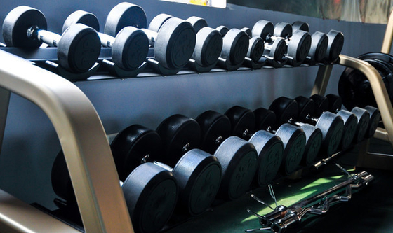 19.5kg 부하 용량 체육관 피트니스 장비 덤블 저장 랙 접이식 디자인