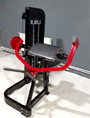 힘 훈련 좌석 팔 어깨 운동 기계 정의 된 biceps와 어깨