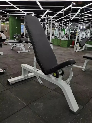 비프리먼의 상업용 멀티 벤치 프레스 피트니스 센터에 완벽한 추가