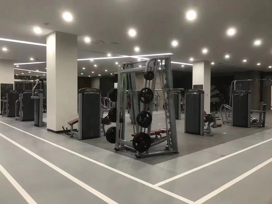 선택적 선택 가능한 프레임 색상 Befreeman 멀티 스미스 기계 체육관 피트니스 장비