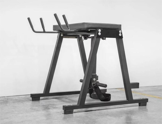 맞춤형 리버스 하이퍼 확장 프레스 근육 다리 운동 장비 2200 * 1500 * 2250mm