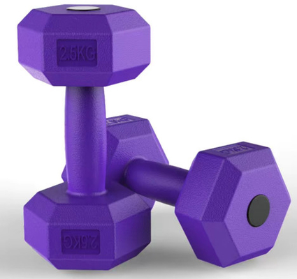 2.5kg 블랙 고무 헥스 덤블 세트 일반 피트니스 애호가들의 궁극적인 도구