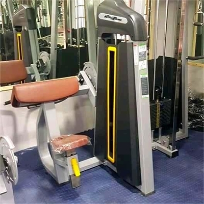프로 헬스장 체력장비 힘 훈련 운동용 좌석 바이세프 기계