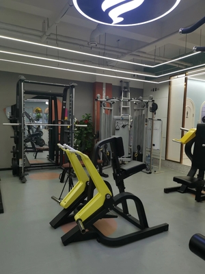 홈 체육관 피트니스 장비 플레이트 로딩 어깨 프레스 높은 기준에 맞게 맞춤