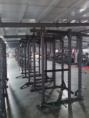 우리의 36/38kg 체육관 슬레드 스키 운동 기계와 함께 궁극적인 심신 운동을 경험