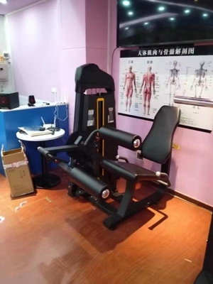 기능적인 트레이너 힘 훈련에 대한 조정 가능한 좌석 다리 확장 컬 머신