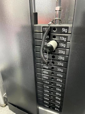 상업용 체육관 센터 80kg 무게 스택과 함께 핀 로딩 좌석 바이세프 컬 머신
