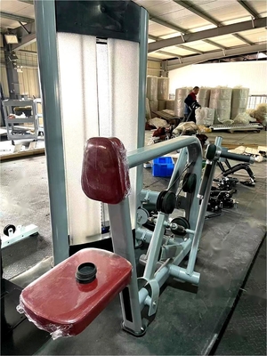 체육관 및 피트니스에서 상업적인 어깨 등 운동용 철자 좌석 배우 기계