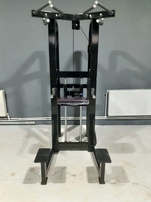 맞춤식 로고 핀 로딩 피트니스 선택 지원 다이프 턱 기계 보디빌딩 262KG