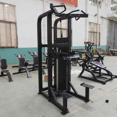 맞춤식 로고 핀 로딩 피트니스 선택 지원 다이프 턱 기계 보디빌딩 262KG
