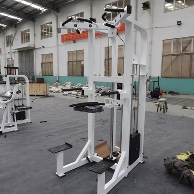 맞춤식 로고 핀 로딩 피트니스 선택 지원 다이프 턱 기계 보디빌딩 262KG