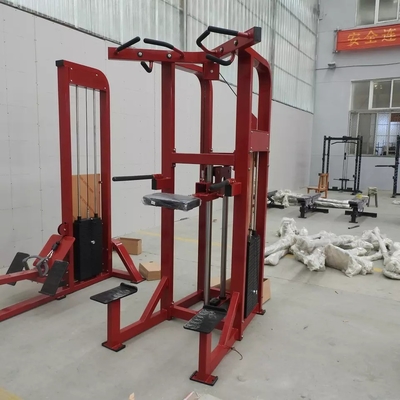 맞춤식 로고 핀 로딩 피트니스 선택 지원 다이프 턱 기계 보디빌딩 262KG