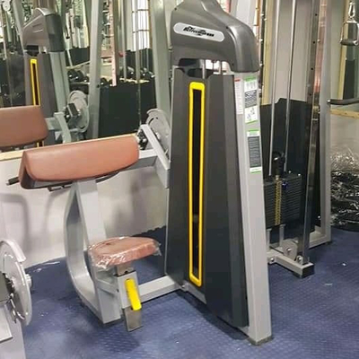 중간 로더 체육관 피트니스 장비 핀 로딩 좌석 바이세프 컬 머신 운동
