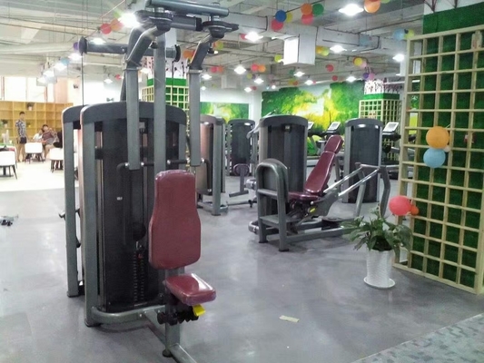 체육관 핀 로드 장비 후면 델트 펙 플라이 머신 힘 훈련에 맞춤형