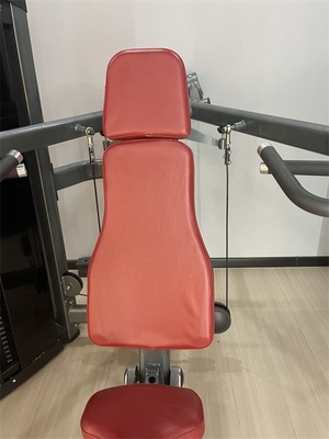 보디 빌딩 체육관 장비 배 압력 기계 사용자 지정 로고와 색상