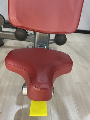 보디 빌딩 체육관 장비 배 압력 기계 사용자 지정 로고와 색상