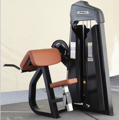 힘 훈련 어깨 훈련 및 양반 컬 운동을위한 Precor 캠버 컬 머신