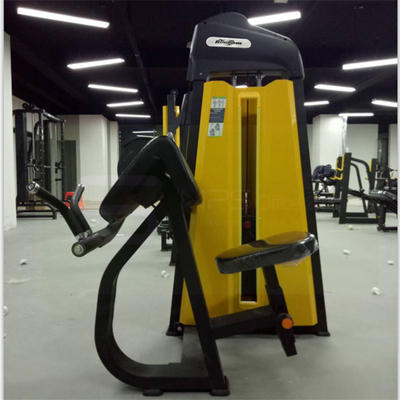 힘 훈련 어깨 훈련 및 양반 컬 운동을위한 Precor 캠버 컬 머신