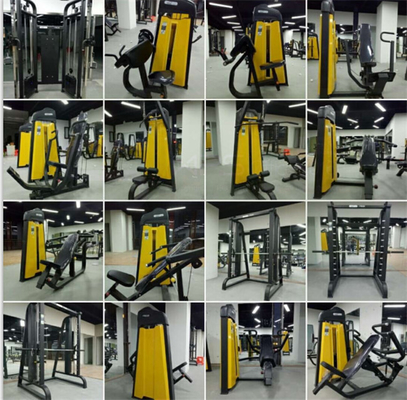힘 훈련 어깨 훈련 및 양반 컬 운동을위한 Precor 캠버 컬 머신