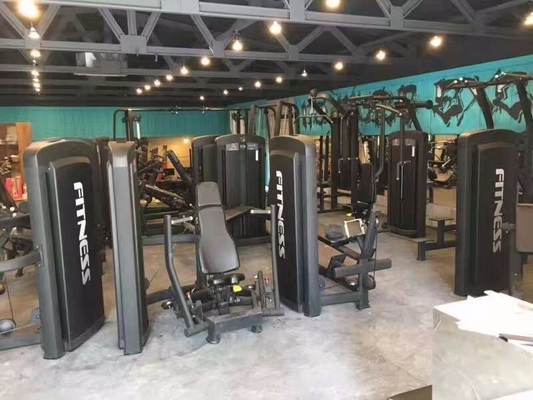 상업용 강철 중량 로더 체육관 클럽 유니버설 보디 빌딩용 바이세프 커블 머신