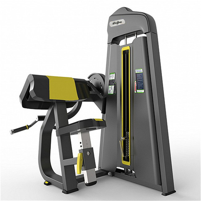 힘 훈련 어깨 훈련 및 양반 컬 운동을위한 Precor 캠버 컬 머신